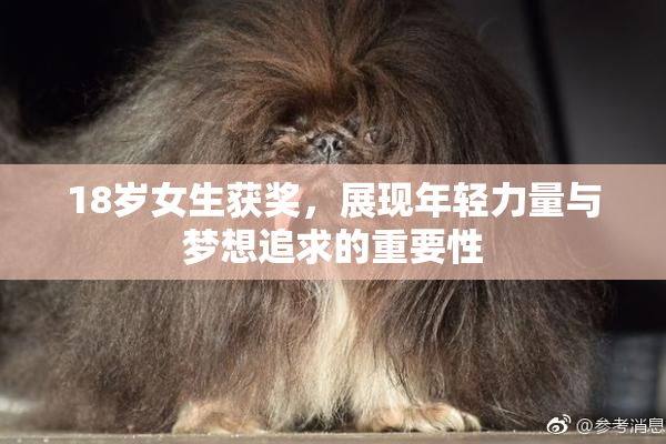 18岁女生获奖，展现年轻力量与梦想追求的重要性