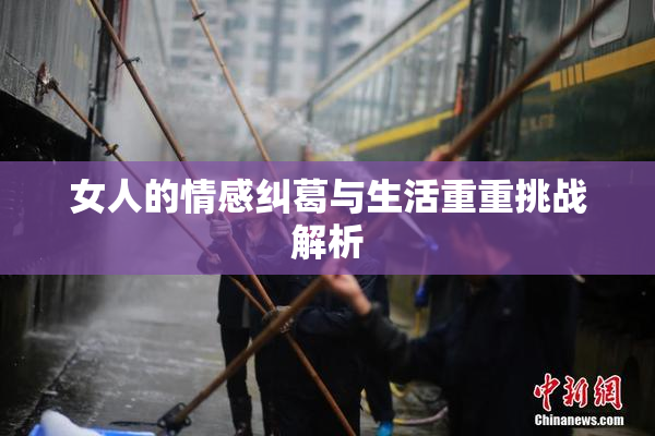女人的情感纠葛与生活重重挑战解析