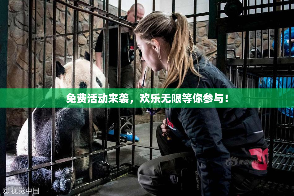 免费活动来袭，欢乐无限等你参与！
