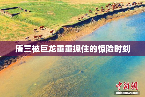 唐三被巨龙重重摁住的惊险时刻