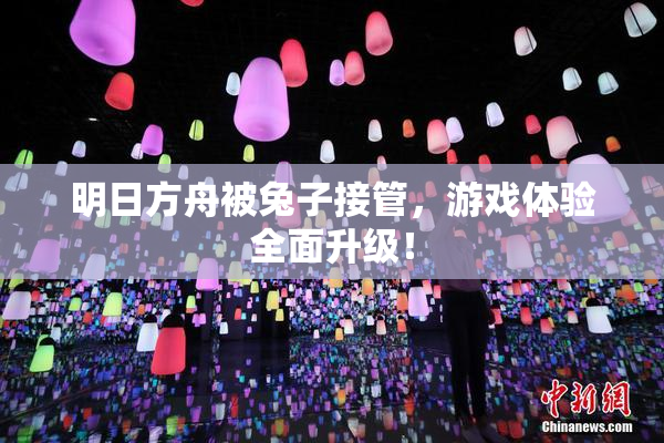 明日方舟被兔子接管，游戏体验全面升级！