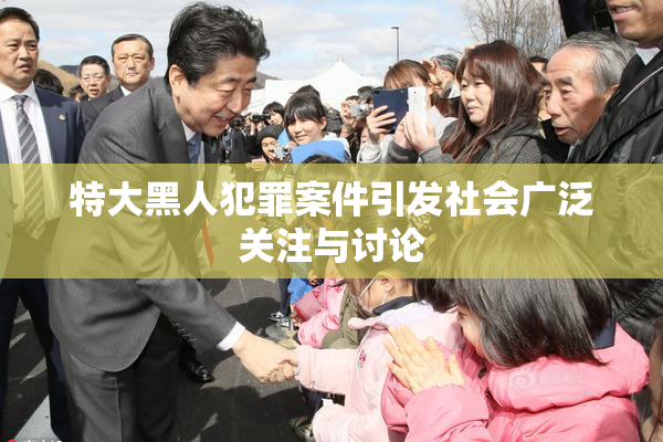 特大黑人犯罪案件引发社会广泛关注与讨论