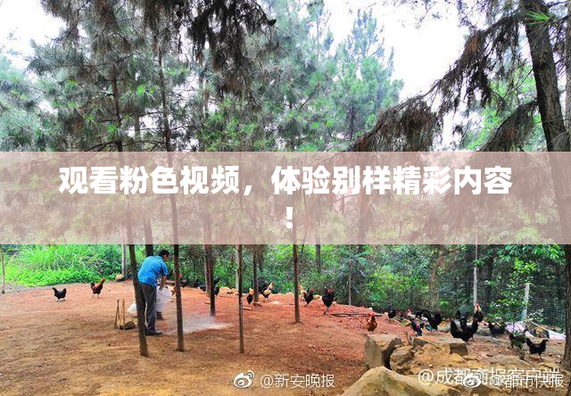 观看粉色视频，体验别样精彩内容！