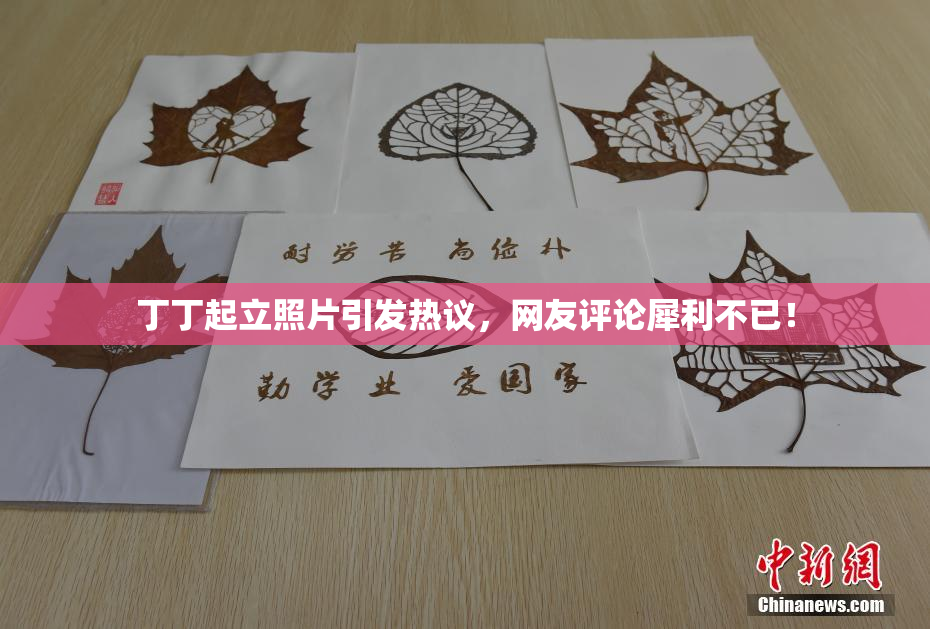 丁丁起立照片引发热议，网友评论犀利不已！