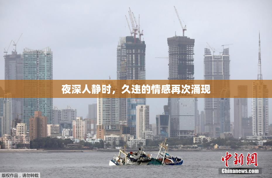 夜深人静时，久违的情感再次涌现