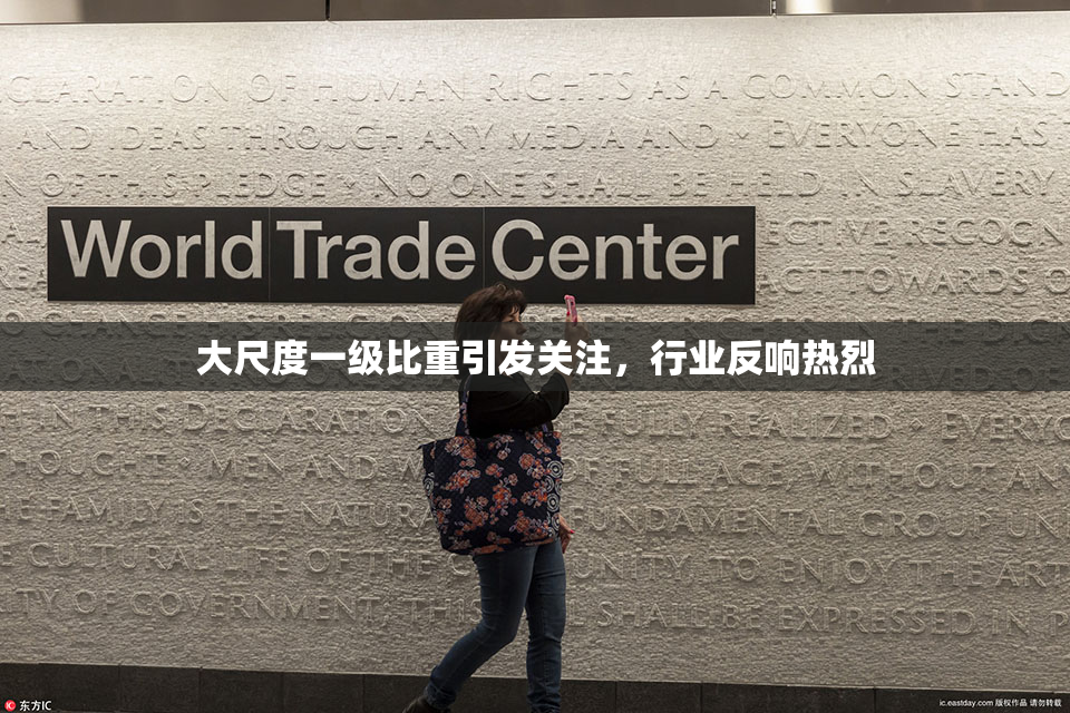大尺度一级比重引发关注，行业反响热烈
