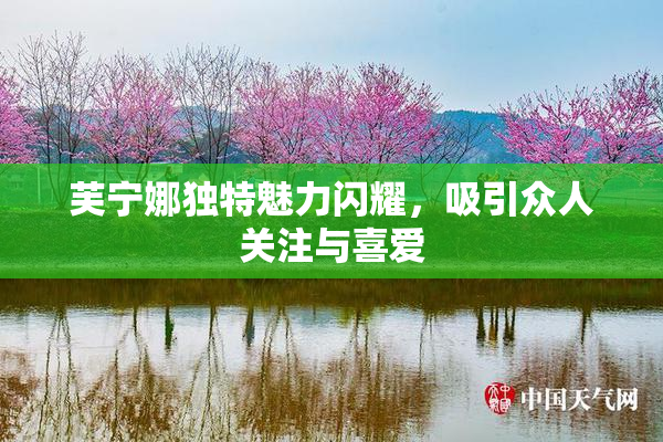 芙宁娜独特魅力闪耀，吸引众人关注与喜爱