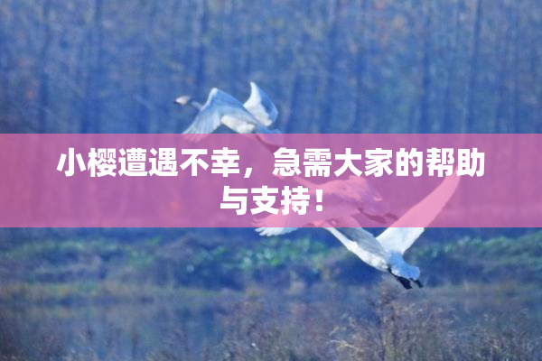 小樱遭遇不幸，急需大家的帮助与支持！