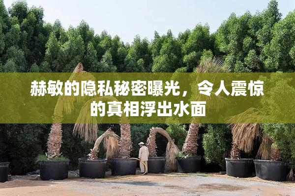 赫敏的隐私秘密曝光，令人震惊的真相浮出水面
