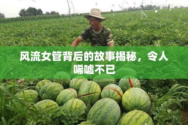 风流女管背后的故事揭秘，令人唏嘘不已