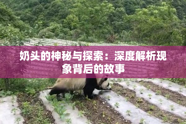 奶头的神秘与探索：深度解析现象背后的故事