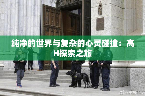 纯净的世界与复杂的心灵碰撞：高H探索之旅