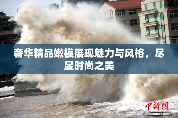 奢华精品嫩模展现魅力与风格，尽显时尚之美