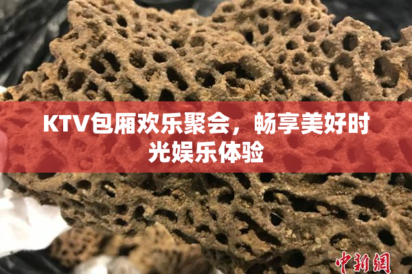 KTV包厢欢乐聚会，畅享美好时光娱乐体验