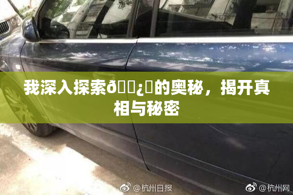 我深入探索🌿‌的奥秘，揭开真相与秘密