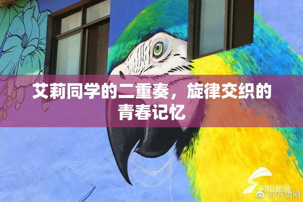 艾莉同学的二重奏，旋律交织的青春记忆