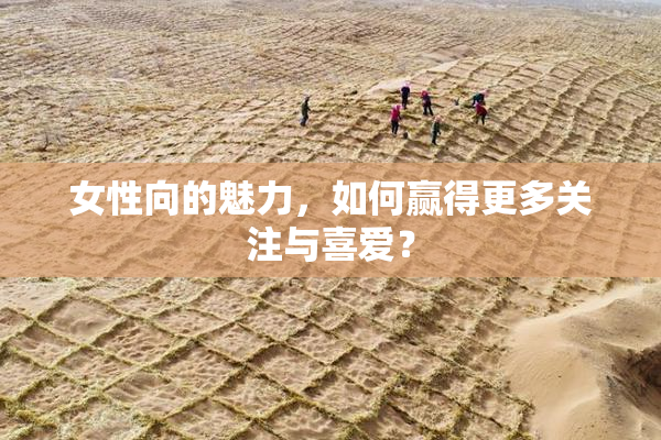 女性向的魅力，如何赢得更多关注与喜爱？