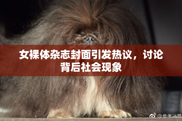 女裸体杂志封面引发热议，讨论背后社会现象