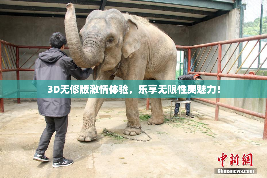 3D无修版激情体验，乐享无限性爽魅力！