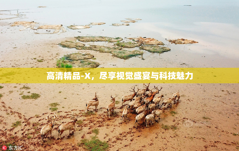 高清精品-X，尽享视觉盛宴与科技魅力