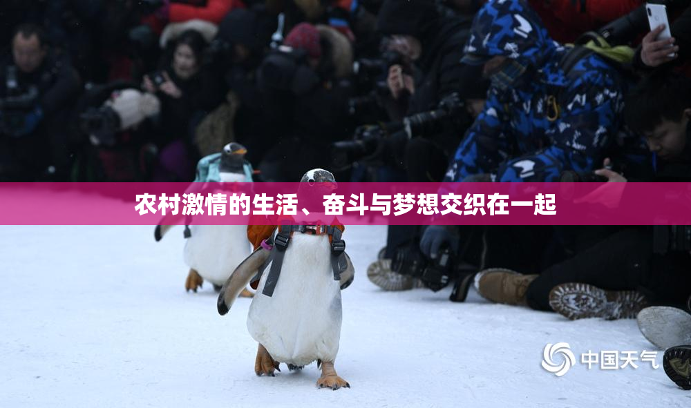 农村激情的生活、奋斗与梦想交织在一起