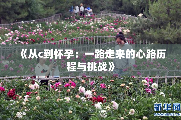 《从c到怀孕：一路走来的心路历程与挑战》
