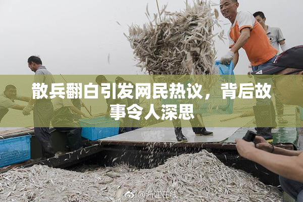 散兵翻白引发网民热议，背后故事令人深思
