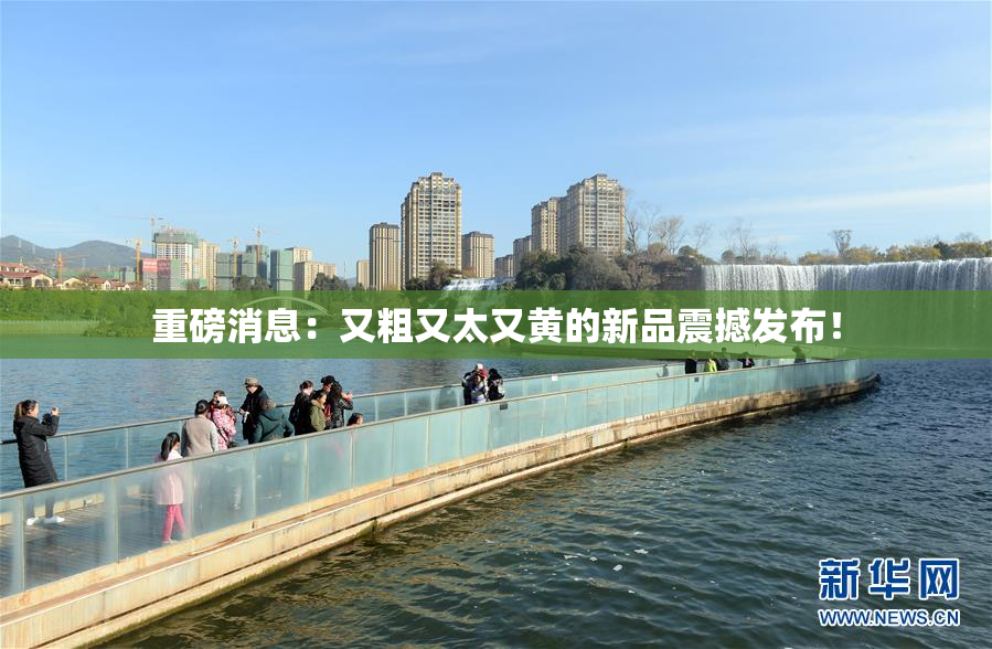 重磅消息：又粗又太又黄的新品震撼发布！