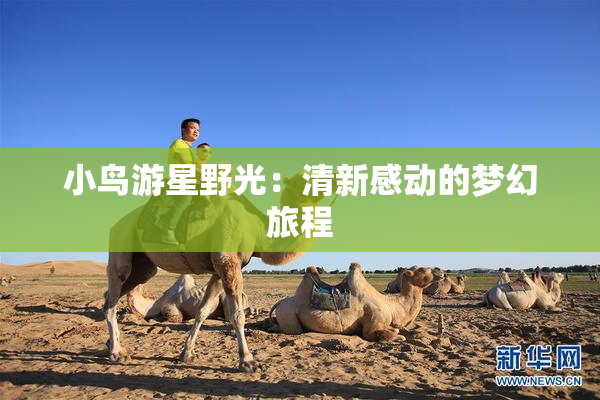 小鸟游星野光：清新感动的梦幻旅程