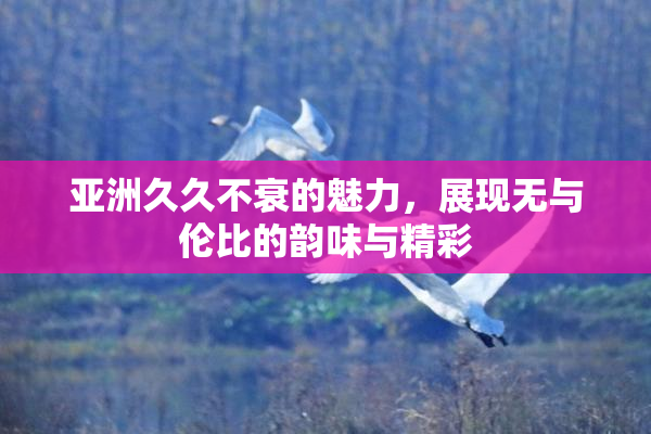 亚洲久久不衰的魅力，展现无与伦比的韵味与精彩