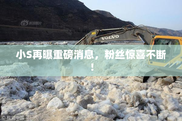小S再曝重磅消息，粉丝惊喜不断！