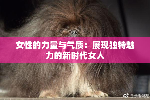 女性的力量与气质：展现独特魅力的新时代女人