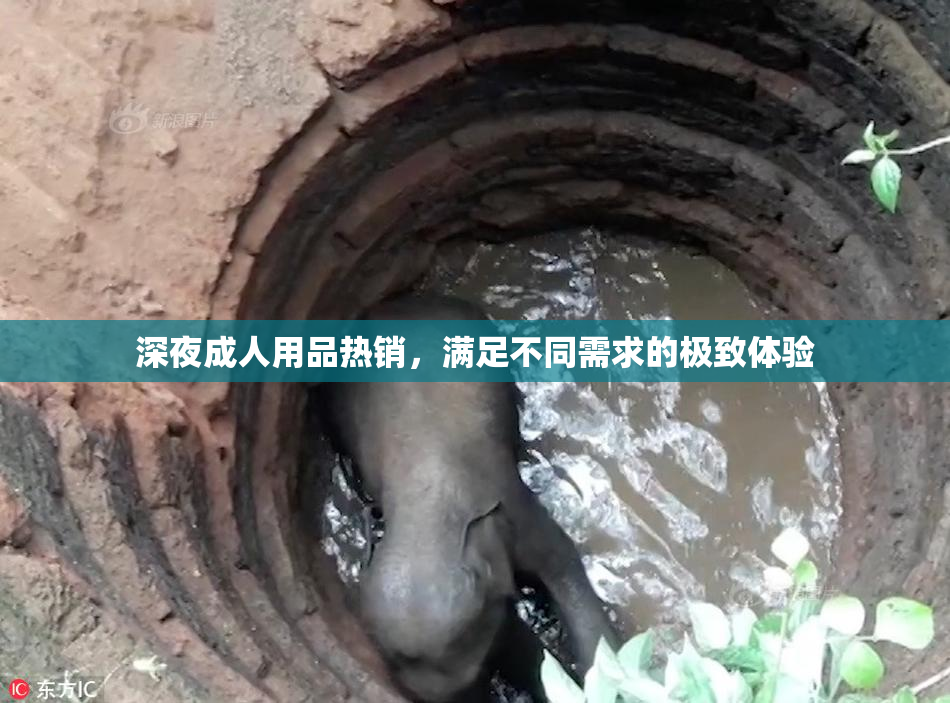 深夜成人用品热销，满足不同需求的极致体验