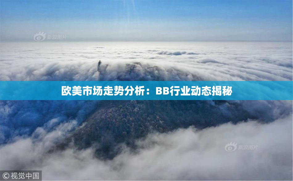 欧美市场走势分析：BB行业动态揭秘