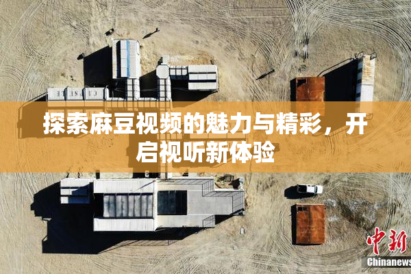 探索麻豆视频的魅力与精彩，开启视听新体验