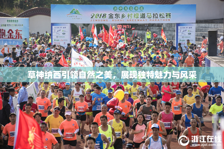 草神纳西引领自然之美，展现独特魅力与风采