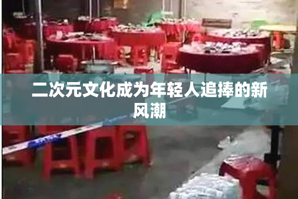 二次元文化成为年轻人追捧的新风潮