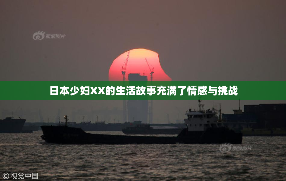 日本少妇XX的生活故事充满了情感与挑战