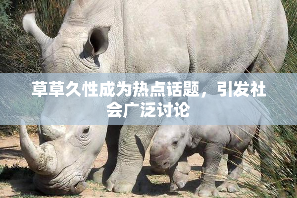 草草久性成为热点话题，引发社会广泛讨论