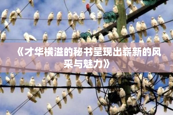 《才华横溢的秘书呈现出崭新的风采与魅力》