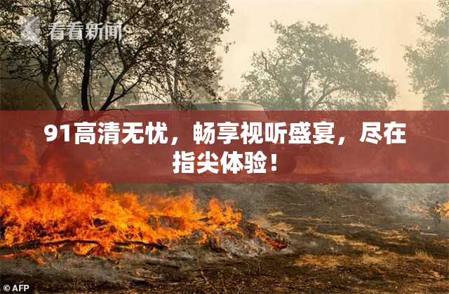 91高清无忧，畅享视听盛宴，尽在指尖体验！