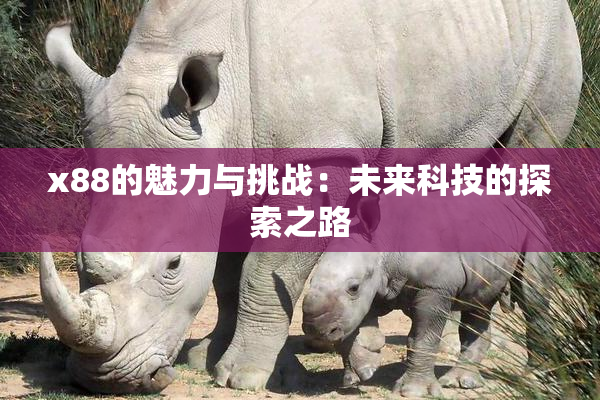 x88的魅力与挑战：未来科技的探索之路