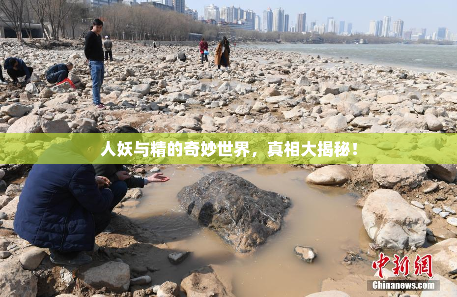 人妖与精的奇妙世界，真相大揭秘！
