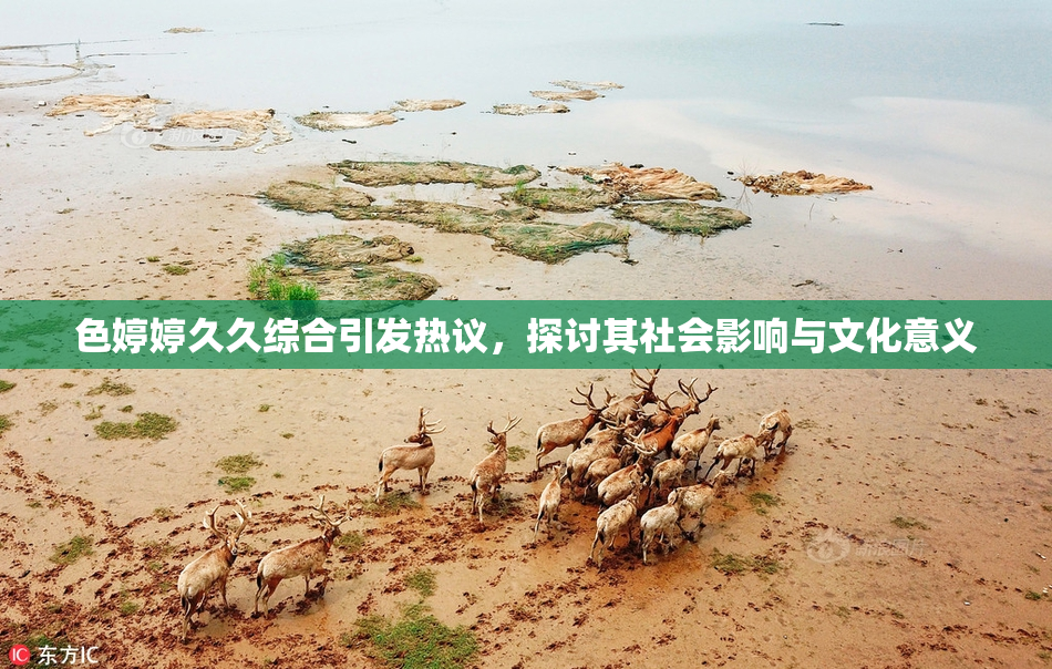 色婷婷久久综合引发热议，探讨其社会影响与文化意义
