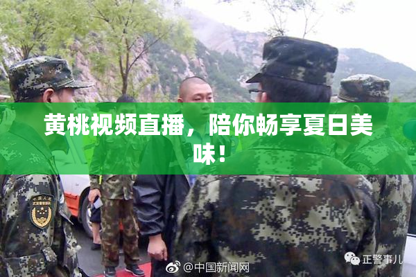 黄桃视频直播，陪你畅享夏日美味！