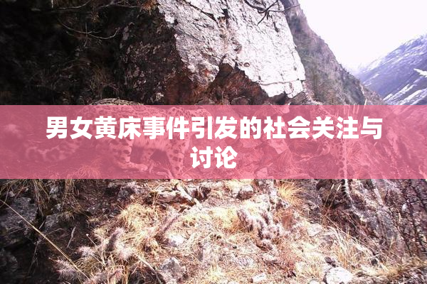 男女黄床事件引发的社会关注与讨论