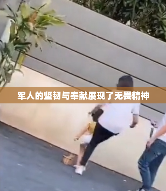 军人的坚韧与奉献展现了无畏精神