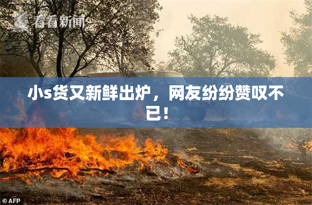 小s货又新鲜出炉，网友纷纷赞叹不已！
