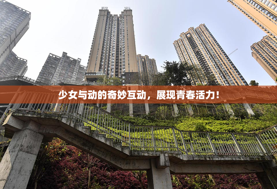 少女与动的奇妙互动，展现青春活力！