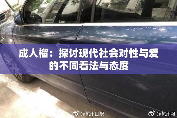 成人榴：探讨现代社会对性与爱的不同看法与态度